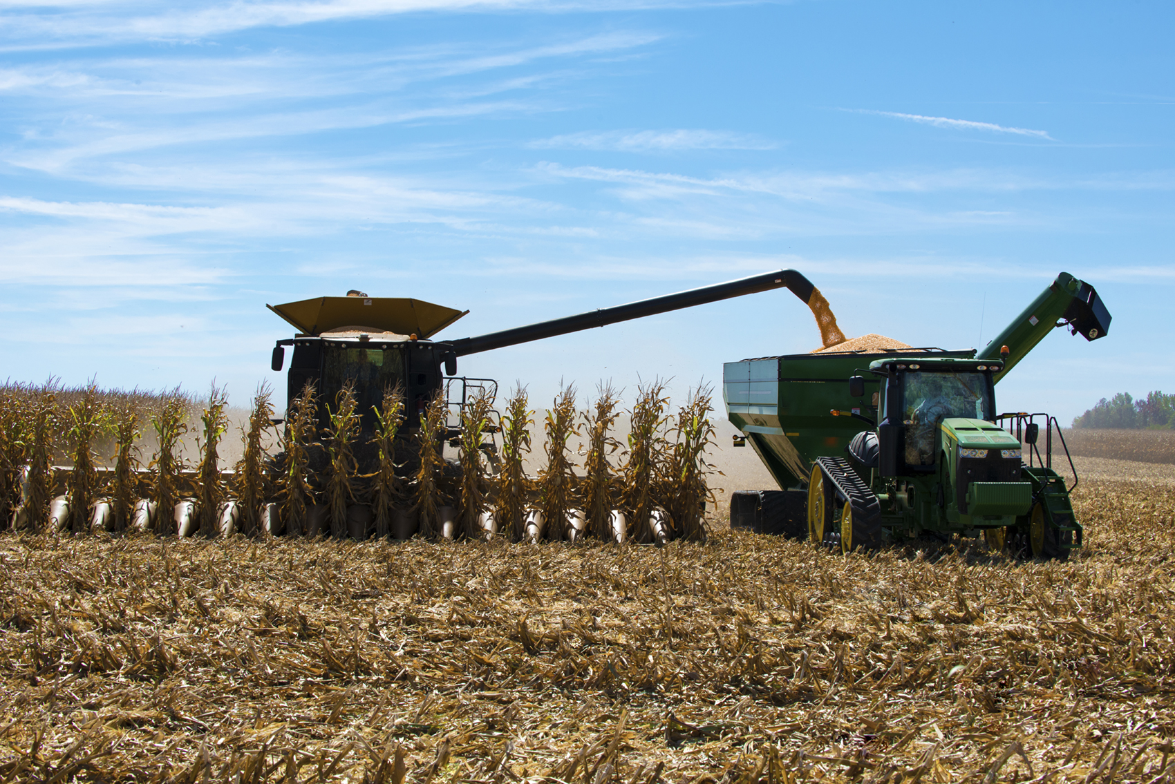 The Trump Administrations trade war and the related rural economic meltdown is not coincidental, said Gale Lush, American Corn Growers Foundation chairman. According to Lush, who lives in Wilcox, Trumps tariffs are a major cause of current low corn and soybean prices.  AP file photo.